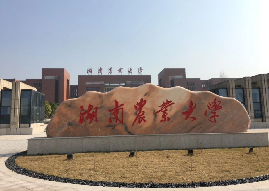 23年某農(nóng)業(yè)大學MPA調(diào)劑-雙一流、111計劃